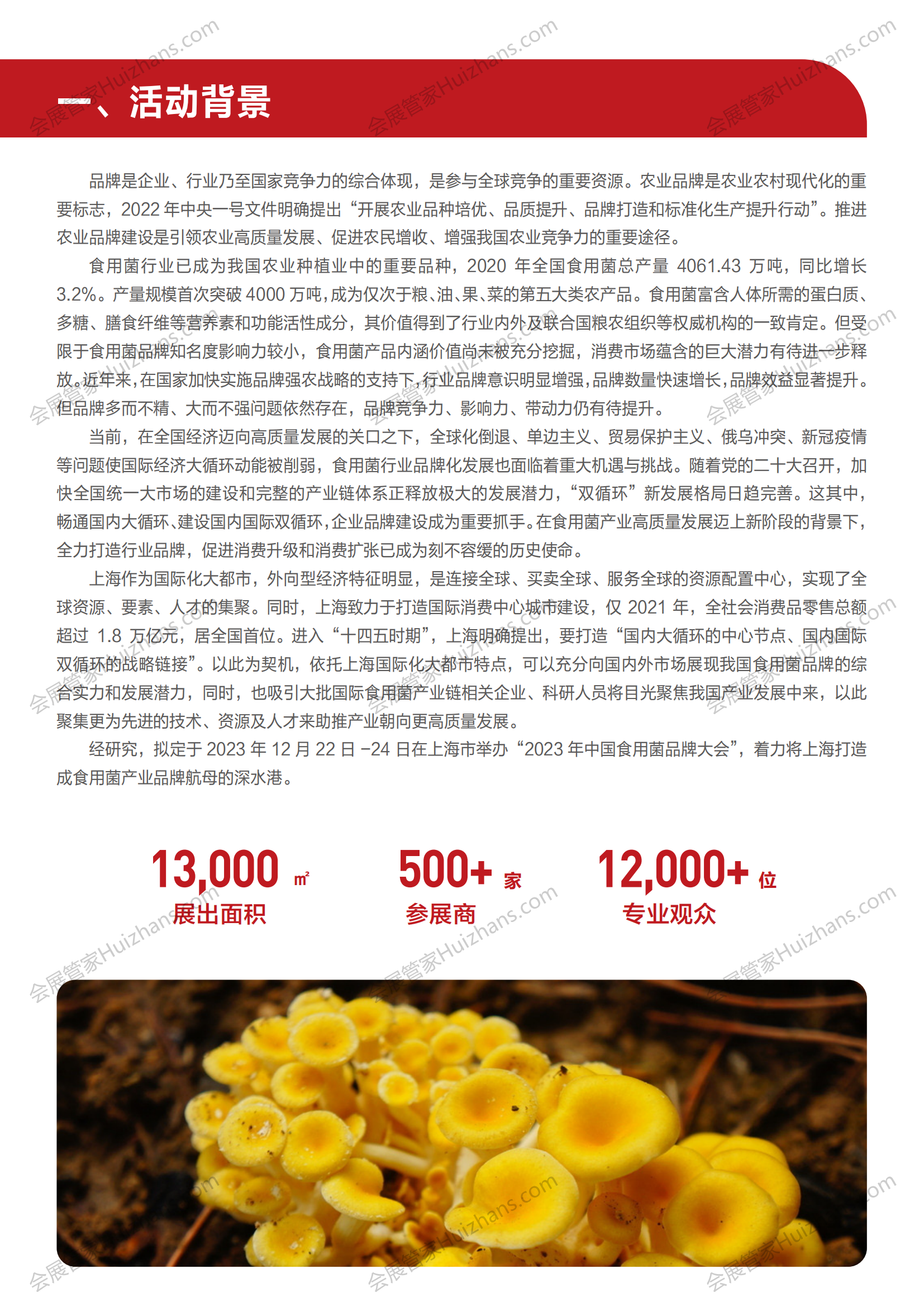 2023 中国食用菌品牌大会   2376_01.png